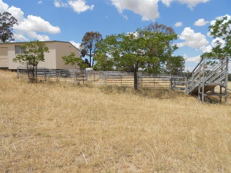 525 Major West Road, Cowra NSW 2794