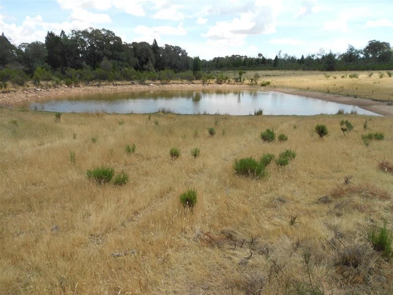 525 Major West Road, Cowra NSW 2794