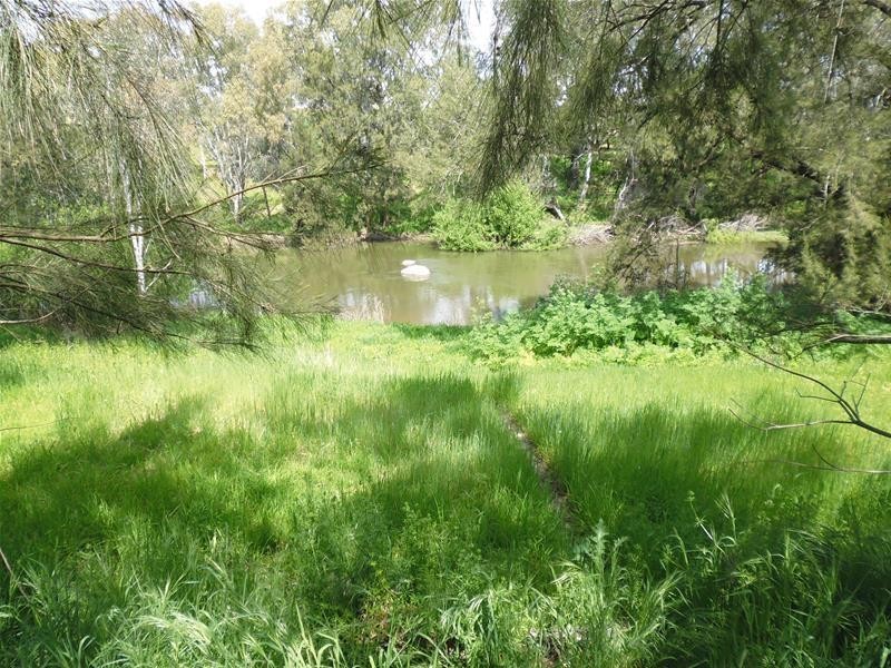 92 Clearview Road, Darbys Falls via, Cowra NSW 2794