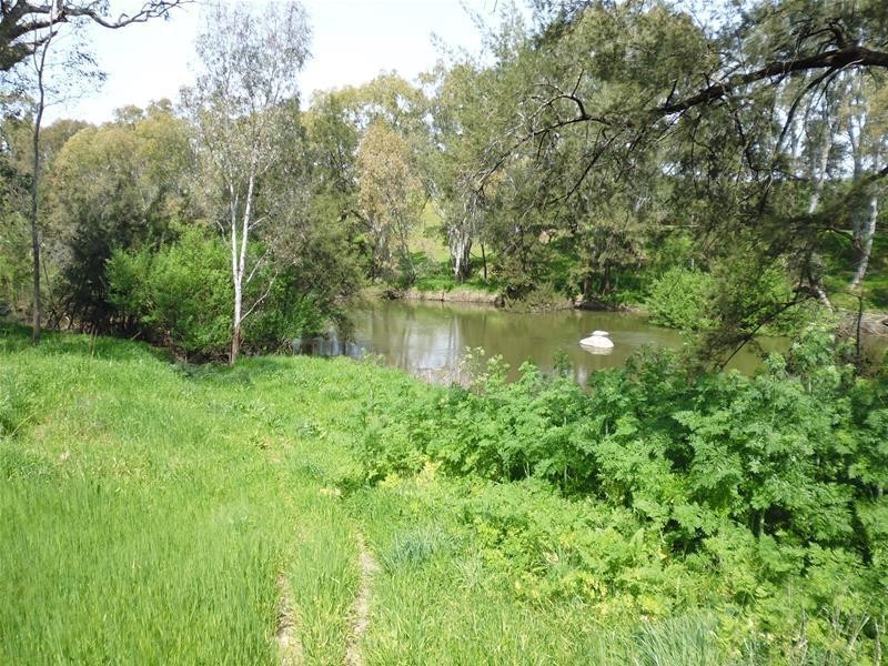 92 Clearview Road, Darbys Falls via, Cowra NSW 2794