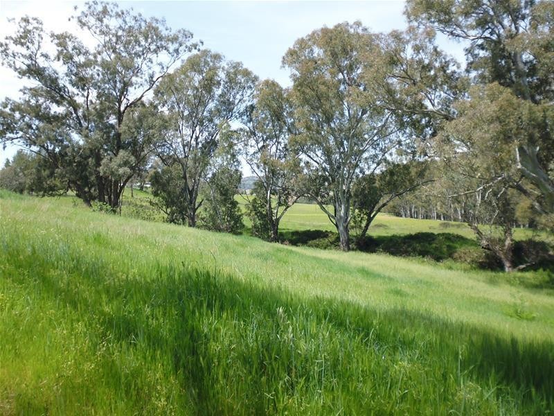 92 Clearview Road, Darbys Falls via, Cowra NSW 2794