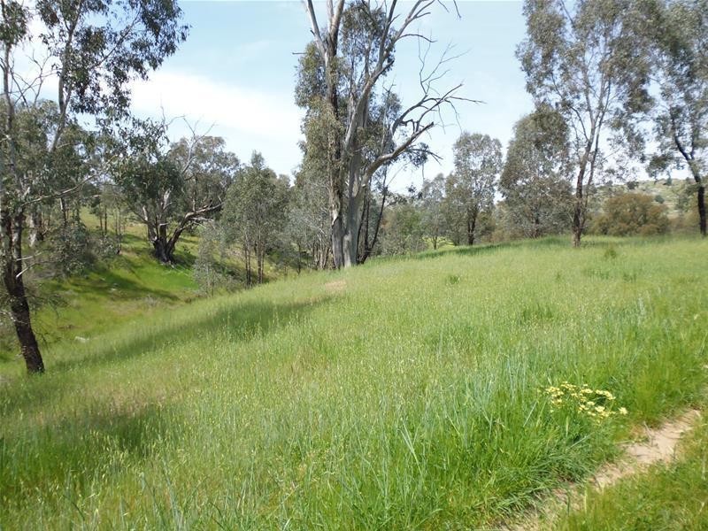 92 Clearview Road, Darbys Falls via, Cowra NSW 2794