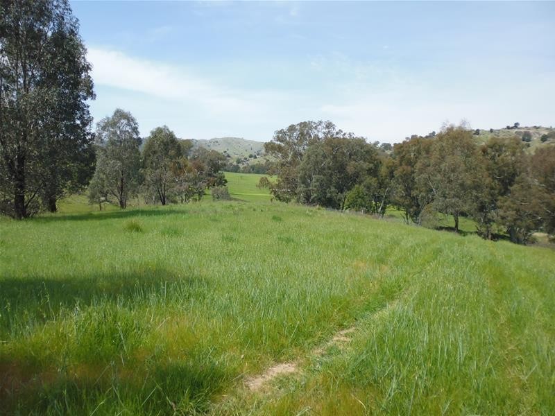 92 Clearview Road, Darbys Falls via, Cowra NSW 2794