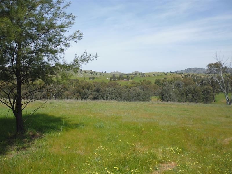 92 Clearview Road, Darbys Falls via, Cowra NSW 2794