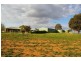 Canowindra Road, Cowra NSW 2794