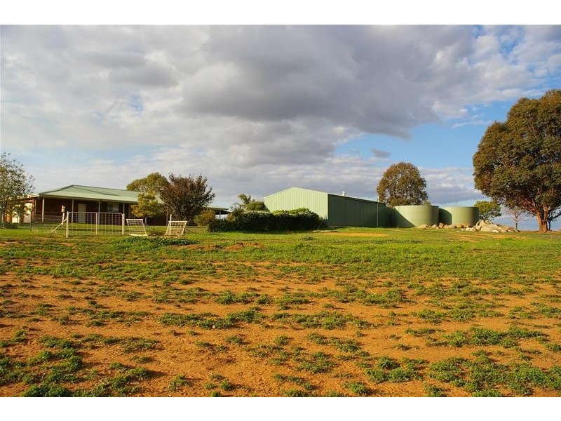Canowindra Road, Cowra NSW 2794
