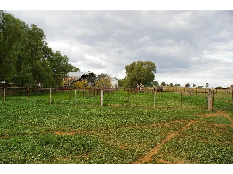 Canowindra Road, Cowra NSW 2794