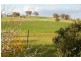 Canowindra Road, Cowra NSW 2794