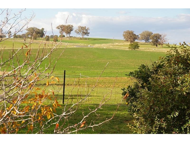 Canowindra Road, Cowra NSW 2794