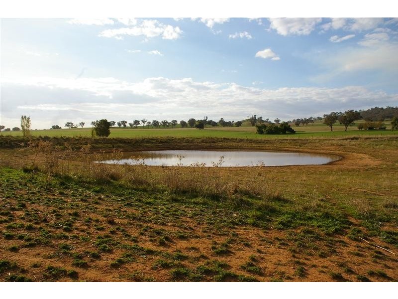 Canowindra Road, Cowra NSW 2794