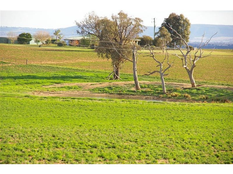 Canowindra Road, Cowra NSW 2794