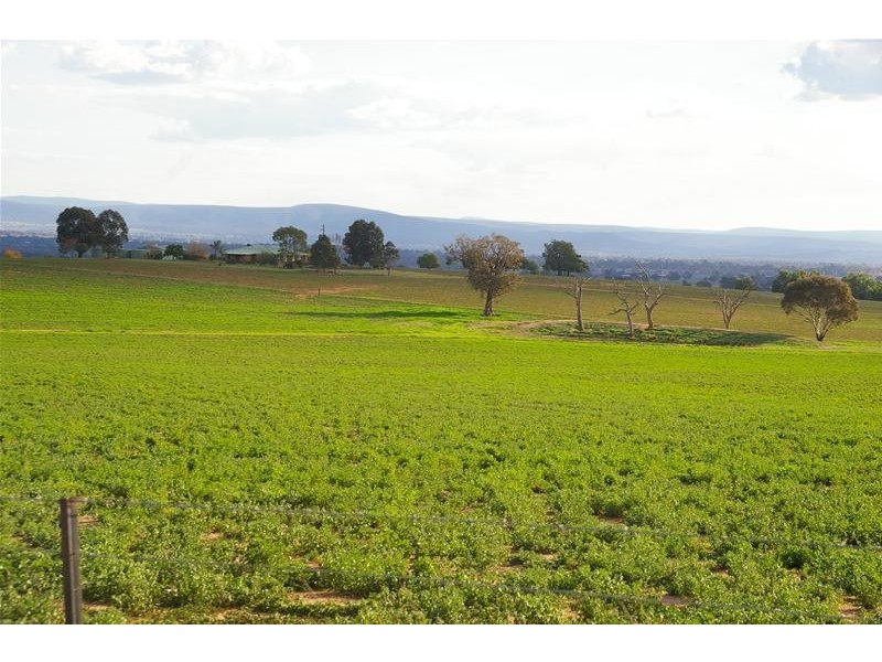 Canowindra Road, Cowra NSW 2794