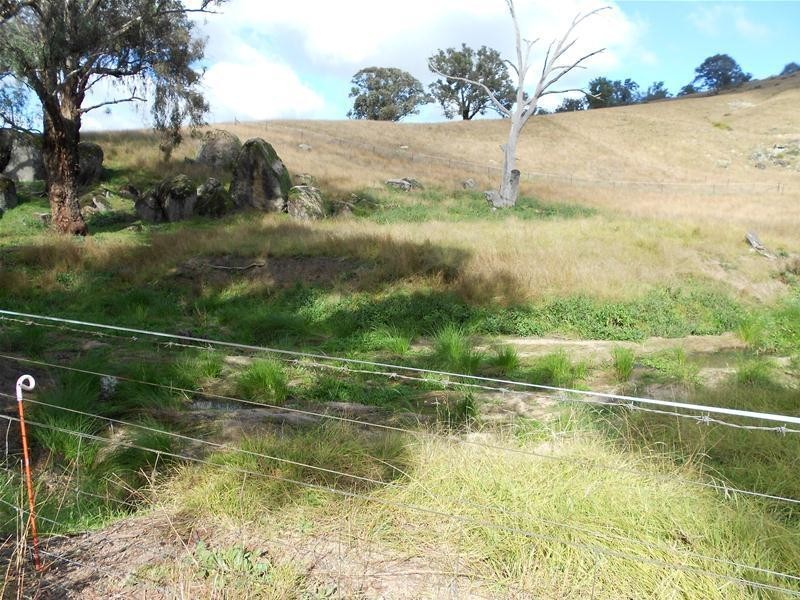 3241 Frogmore Road, Hovells Creek NSW 2794