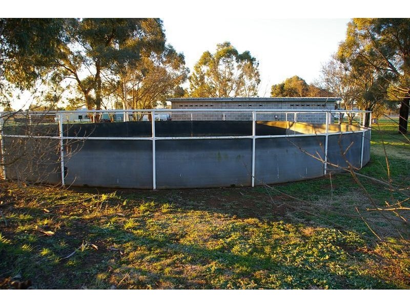 203 Bulkhead Road, Cowra NSW 2794