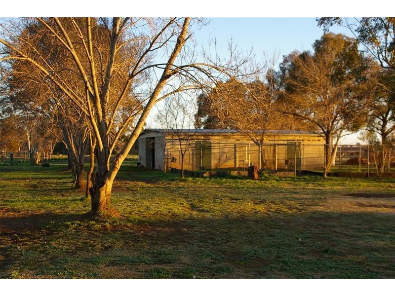 203 Bulkhead Road, Cowra NSW 2794