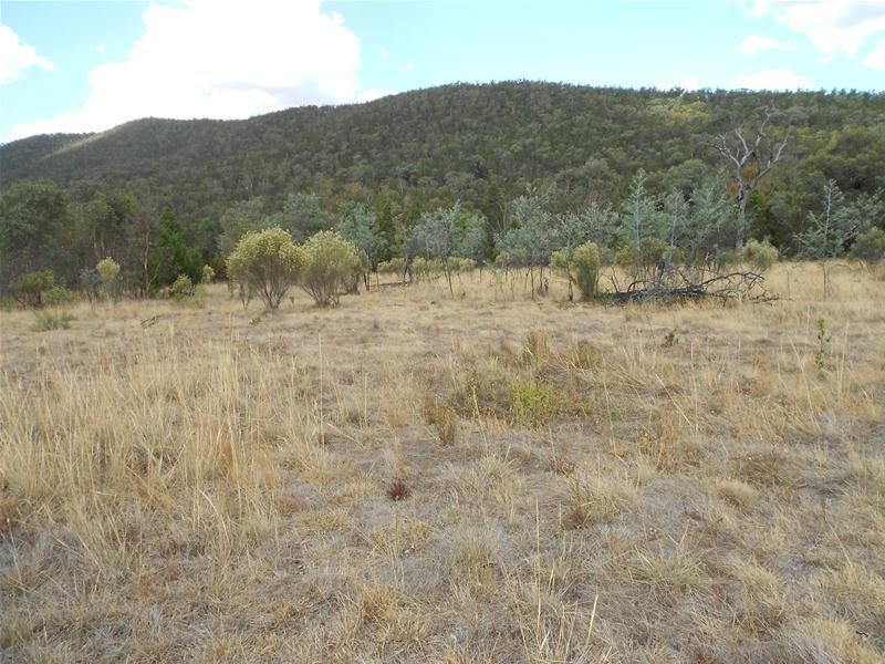 1642 Kangarooby Road, Gooloogong NSW 2805