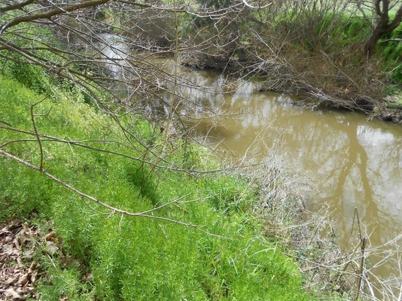 2470 George Russell Drive, Canowindra NSW 2804