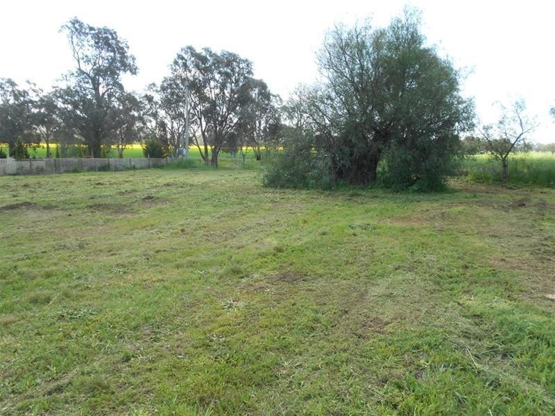 39 Koorawatha Road, Koorawatha NSW 2807