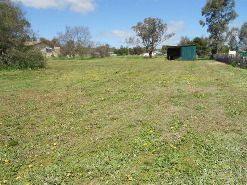 39 Koorawatha Road, Koorawatha NSW 2807