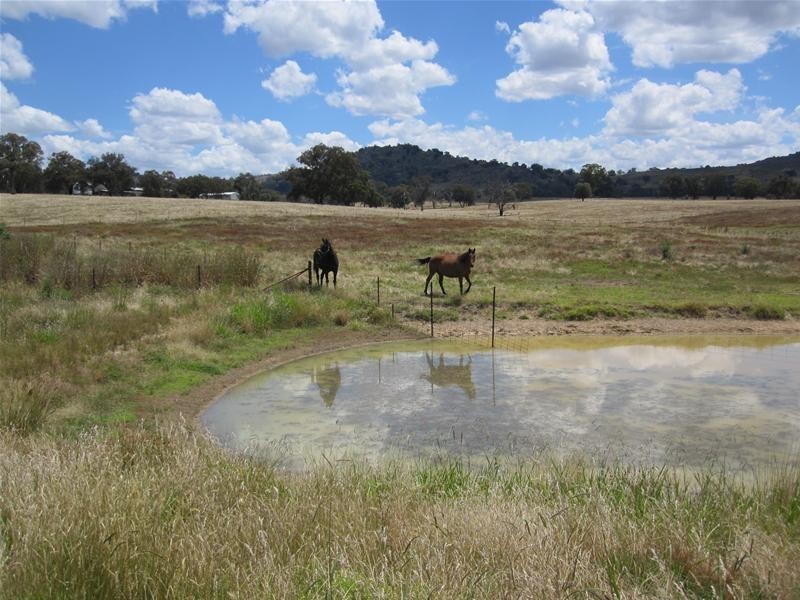 61 Bennett Springs Road, Hovells Creek NSW 2794
