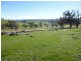 Lot 5 Clements Road, Woodstock NSW 2793