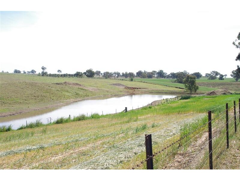 53 Badgery Road, Cowra NSW 2794