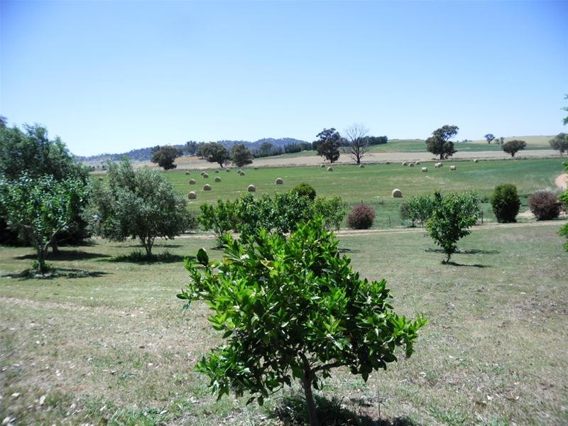 53 Badgery Road, Cowra NSW 2794