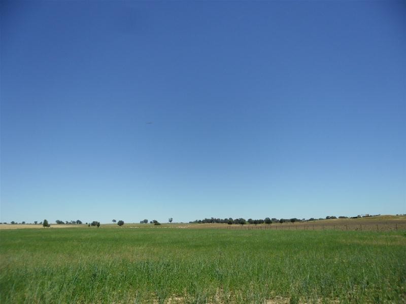 53 Badgery Road, Cowra NSW 2794