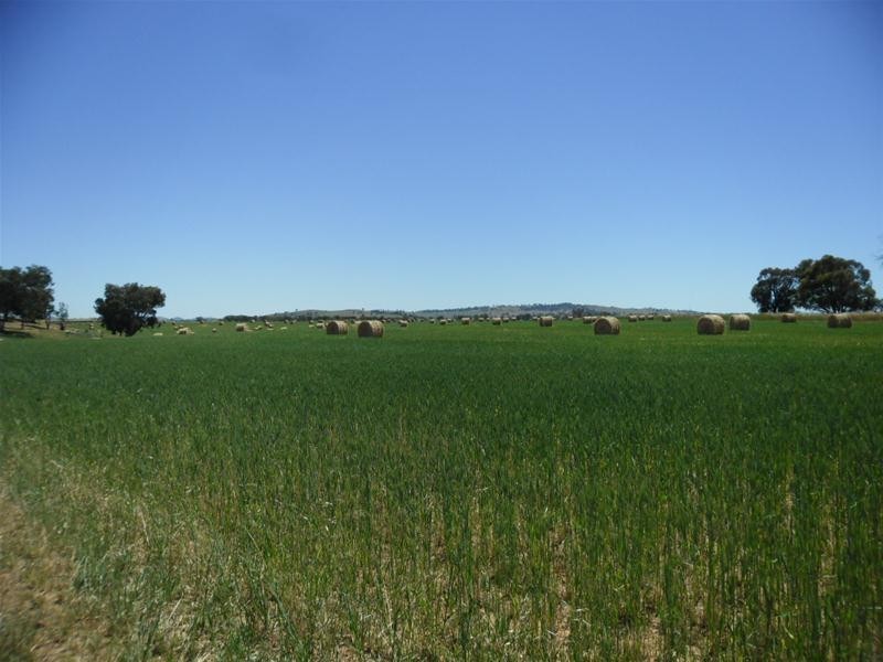 53 Badgery Road, Cowra NSW 2794