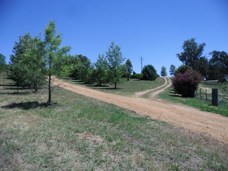 53 Badgery Road, Cowra NSW 2794