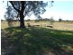 Stoney Hill Road, Cowra NSW 2794