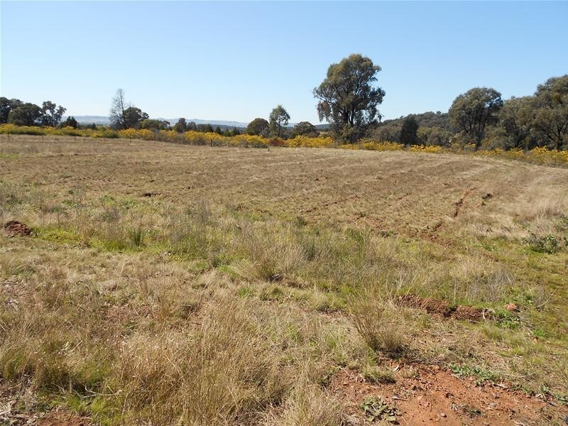 Stoney Hill Road, Cowra NSW 2794