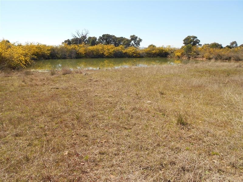 Stoney Hill Road, Cowra NSW 2794