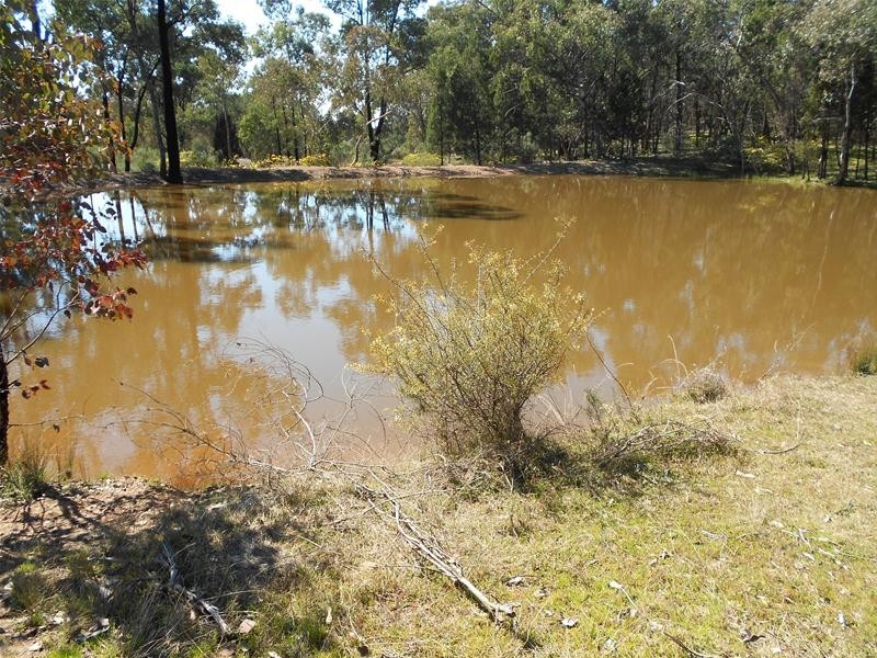 Stoney Hill Road, Cowra NSW 2794