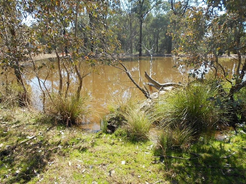 Stoney Hill Road, Cowra NSW 2794