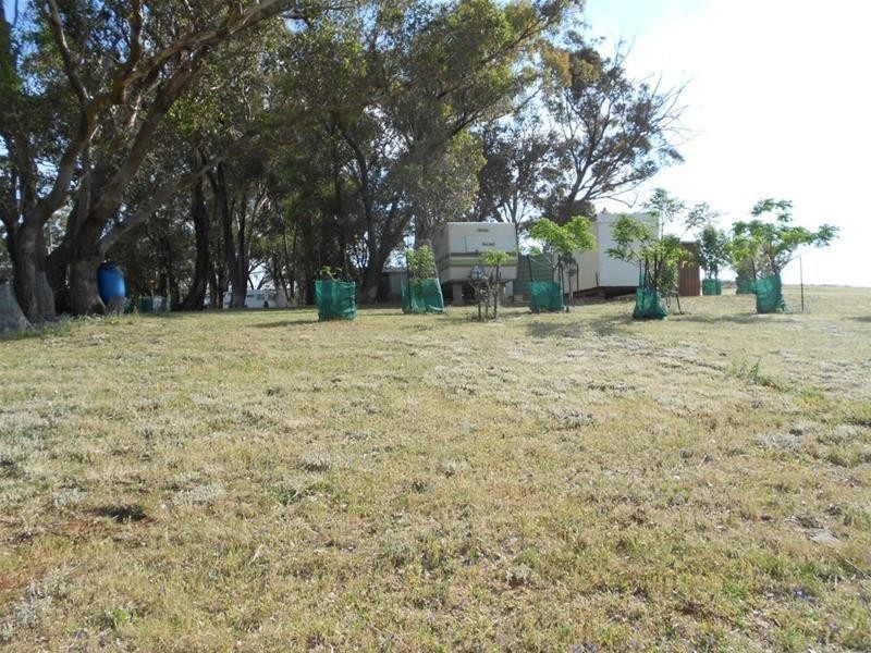 98 Blue Mantle Road, Wyangala NSW 2808