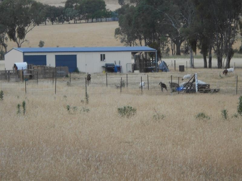 23 Goodacre Drive, Woodstock NSW 2538