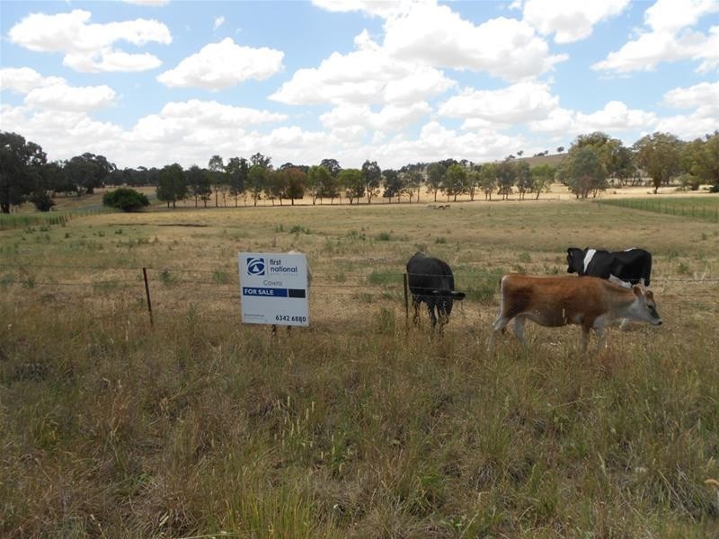 23 Goodacre Drive, Woodstock NSW 2538