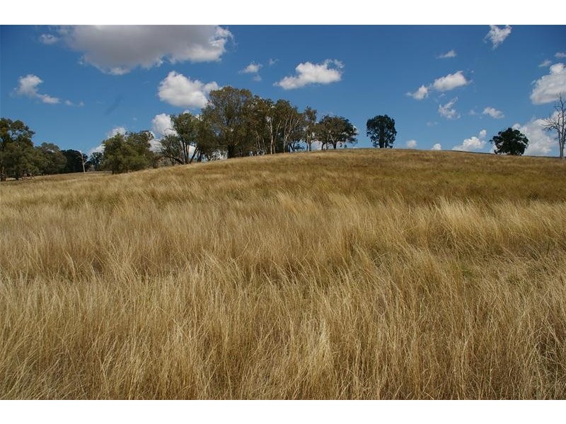 3617 Frogmore Road, Hovells Creek NSW 2794