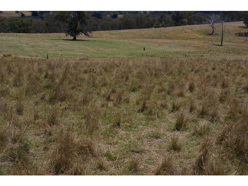 3617 Frogmore Road, Hovells Creek NSW 2794