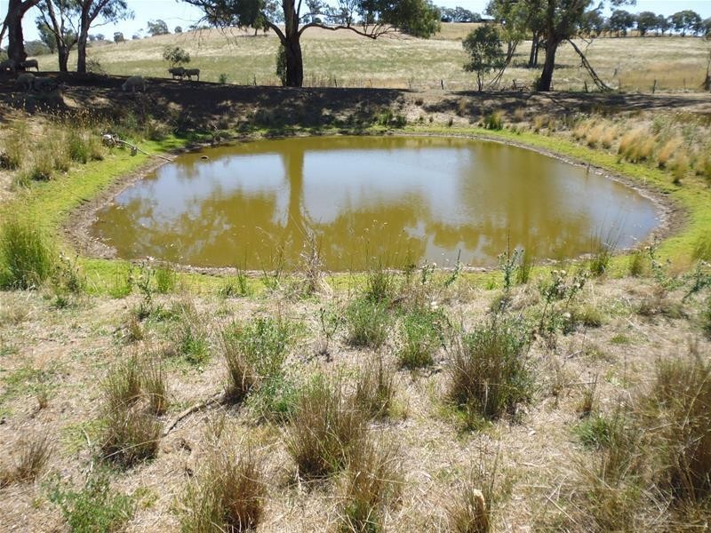 52 Goodacre Drive, Woodstock NSW 2793