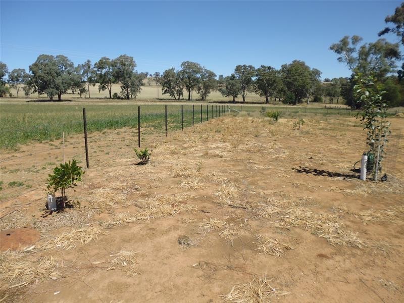 52 Goodacre Drive, Woodstock NSW 2793