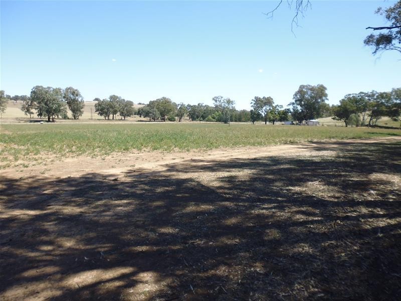 52 Goodacre Drive, Woodstock NSW 2793