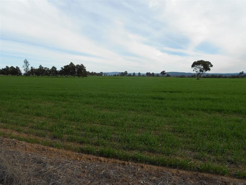 815 Glen Logan Siding Road, Cowra NSW 2794