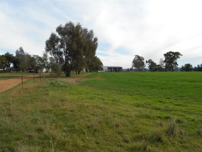 815 Glen Logan Siding Road, Cowra NSW 2794