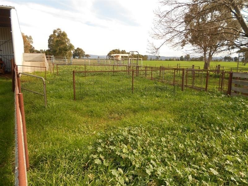 815 Glen Logan Siding Road, Cowra NSW 2794