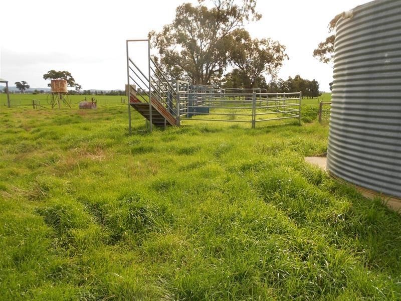 815 Glen Logan Siding Road, Cowra NSW 2794