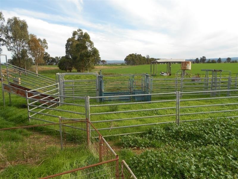 815 Glen Logan Siding Road, Cowra NSW 2794