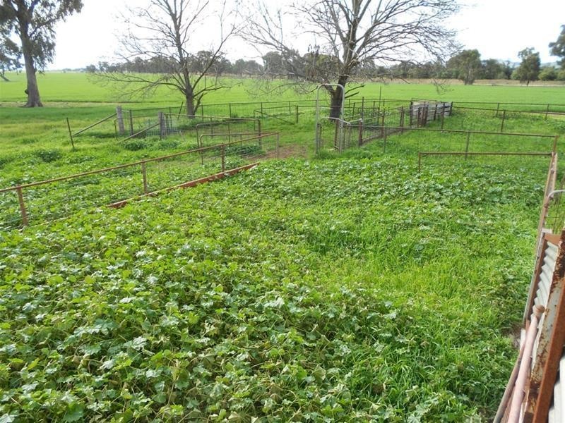 815 Glen Logan Siding Road, Cowra NSW 2794