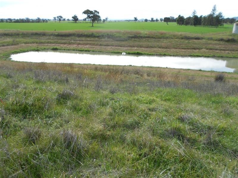 815 Glen Logan Siding Road, Cowra NSW 2794